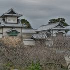 Kanazawa-jyo Koen