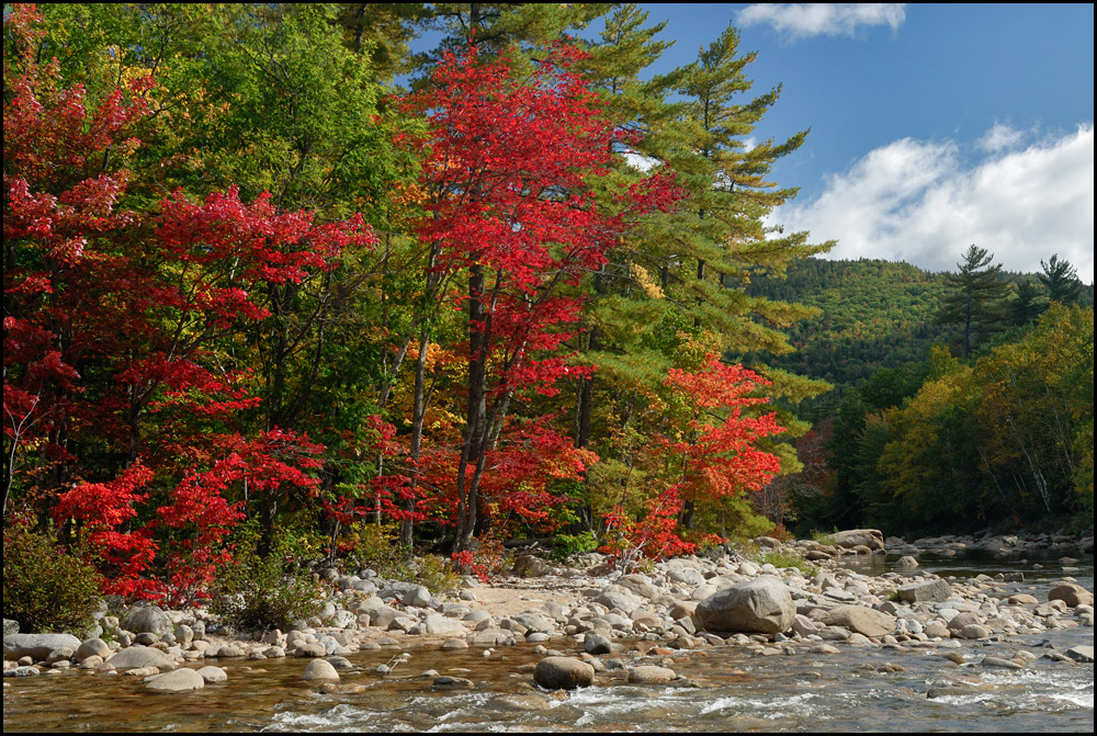 [ Kancamagus Highway ]