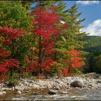 [ Kancamagus Highway ]