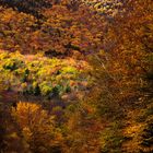 Kancamagus Highway während des Indian Summers