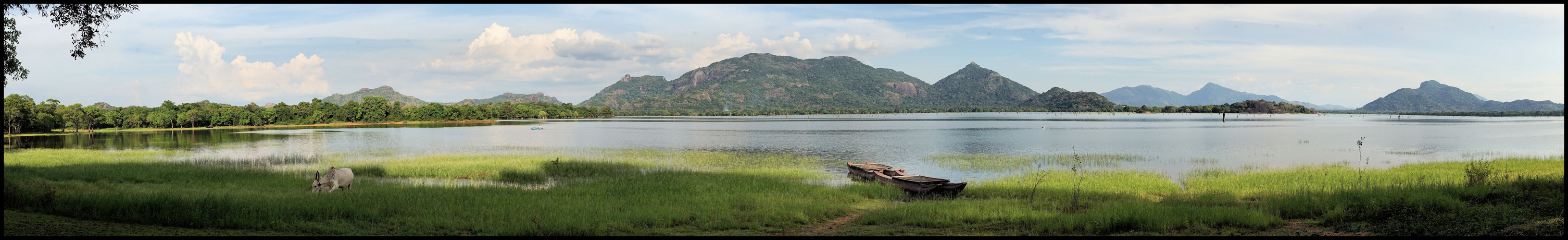 Kandalama See   Resort Amaya Lake     Sri Lanka