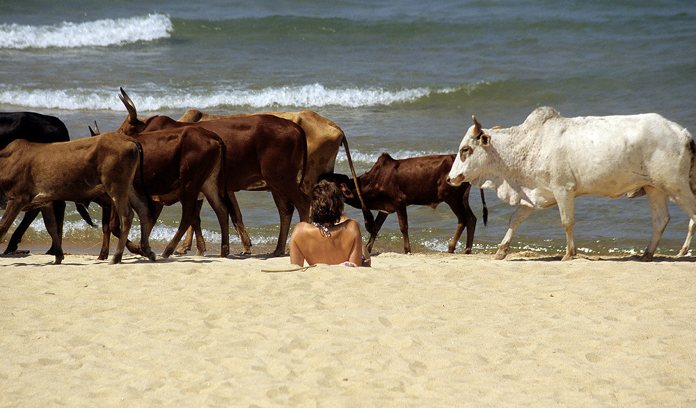 Kande Beach - Malawisee