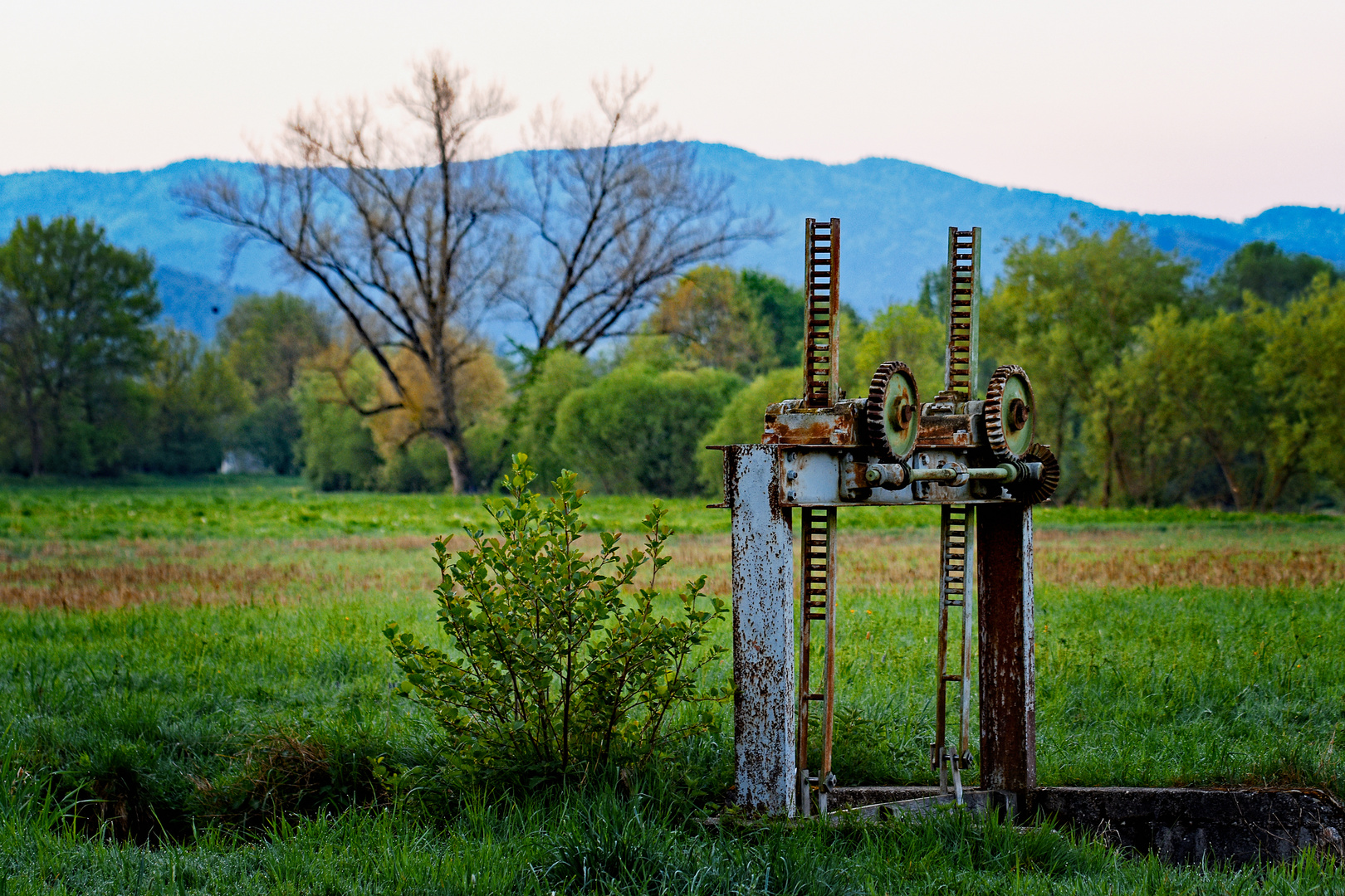 Kandel-Blick