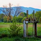 Kandel-Blick