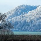 Kandel Rücken Schnee Winter