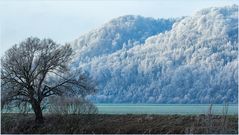 Kandel Rücken Schnee Winter