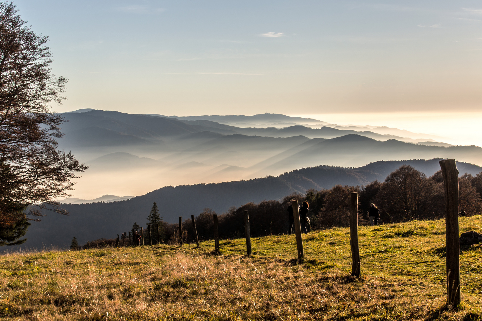 Kandelblick über das Glottertal