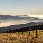 Kandelblick über das Glottertal