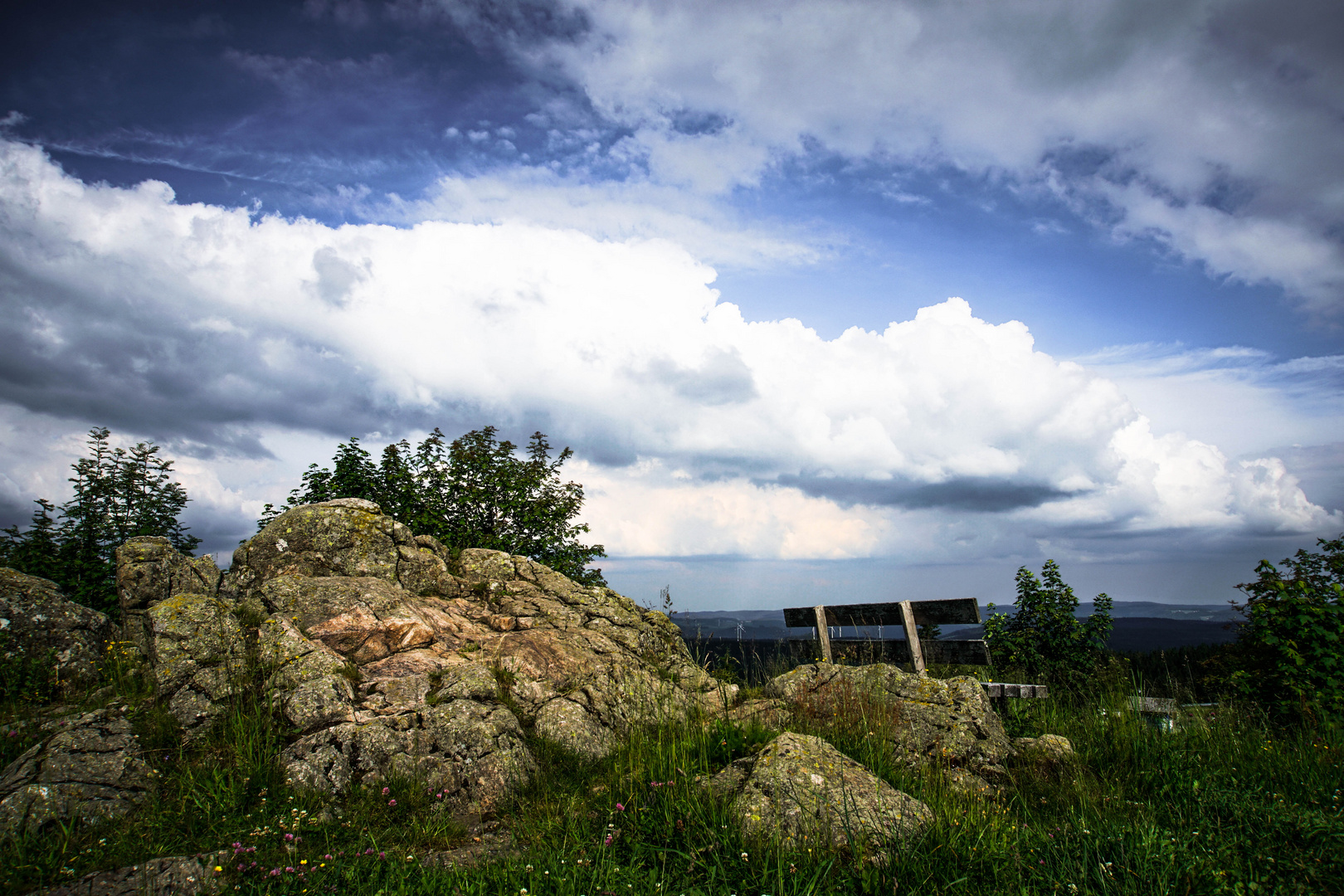 Kandelgipfel im Schwarzwald