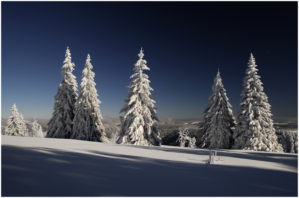 Kandel/Südschwarzwald - 9.Platz "Deutsche Landschaften"