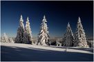 Kandel/Südschwarzwald - 9.Platz "Deutsche Landschaften" von Karl Herrling 