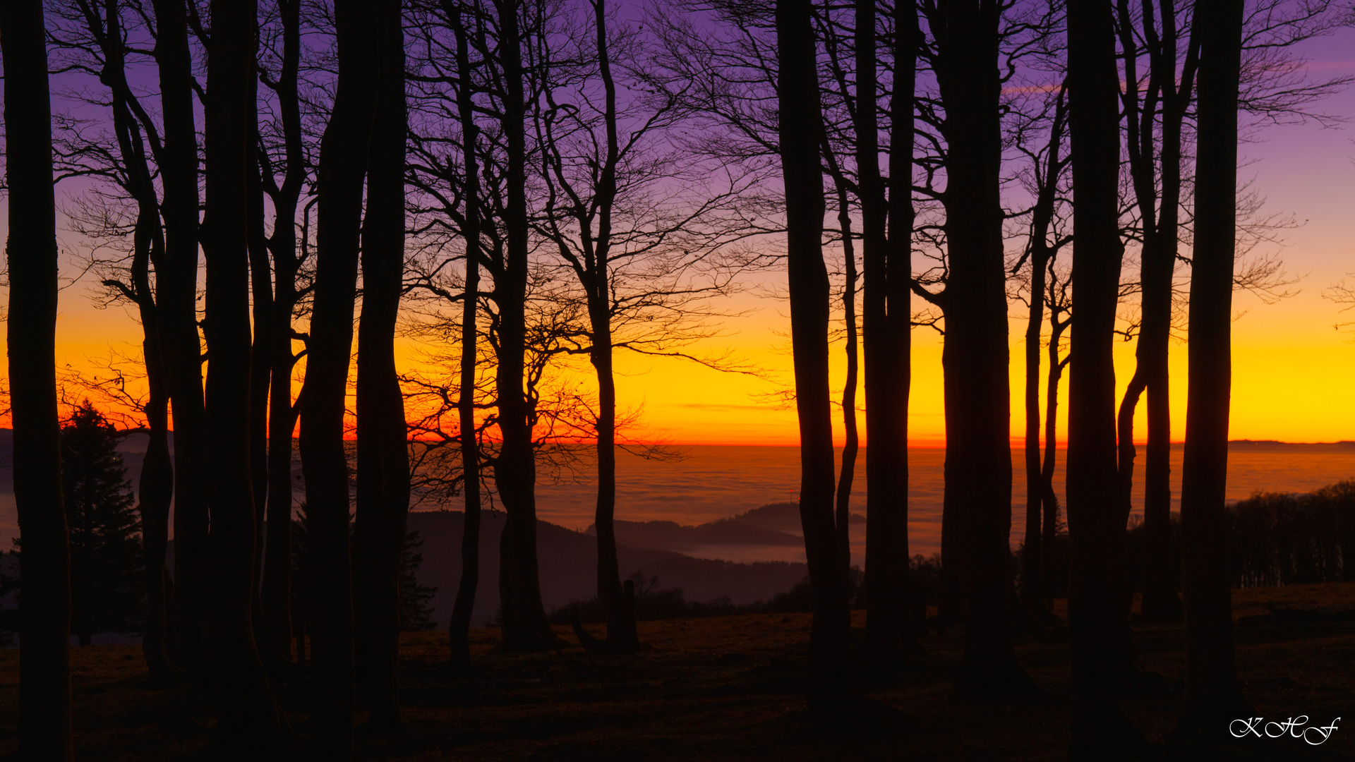 Kandelwald im Abendrot