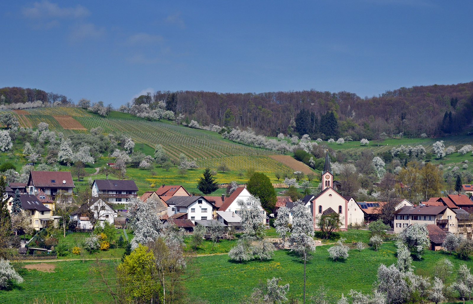 ~~~ Kandern-Feuerbach im Frühling 2014 ~~~