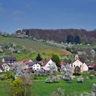 ~~~ Kandern-Feuerbach im Frühling 2014 ~~~