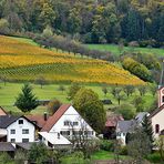 ~~~ Kandern-Feuerbach im Herbst 2013 ~~~