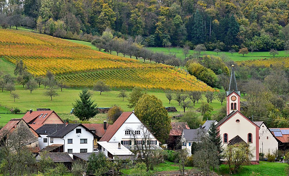 ~~~ Kandern-Feuerbach im Herbst 2013 ~~~