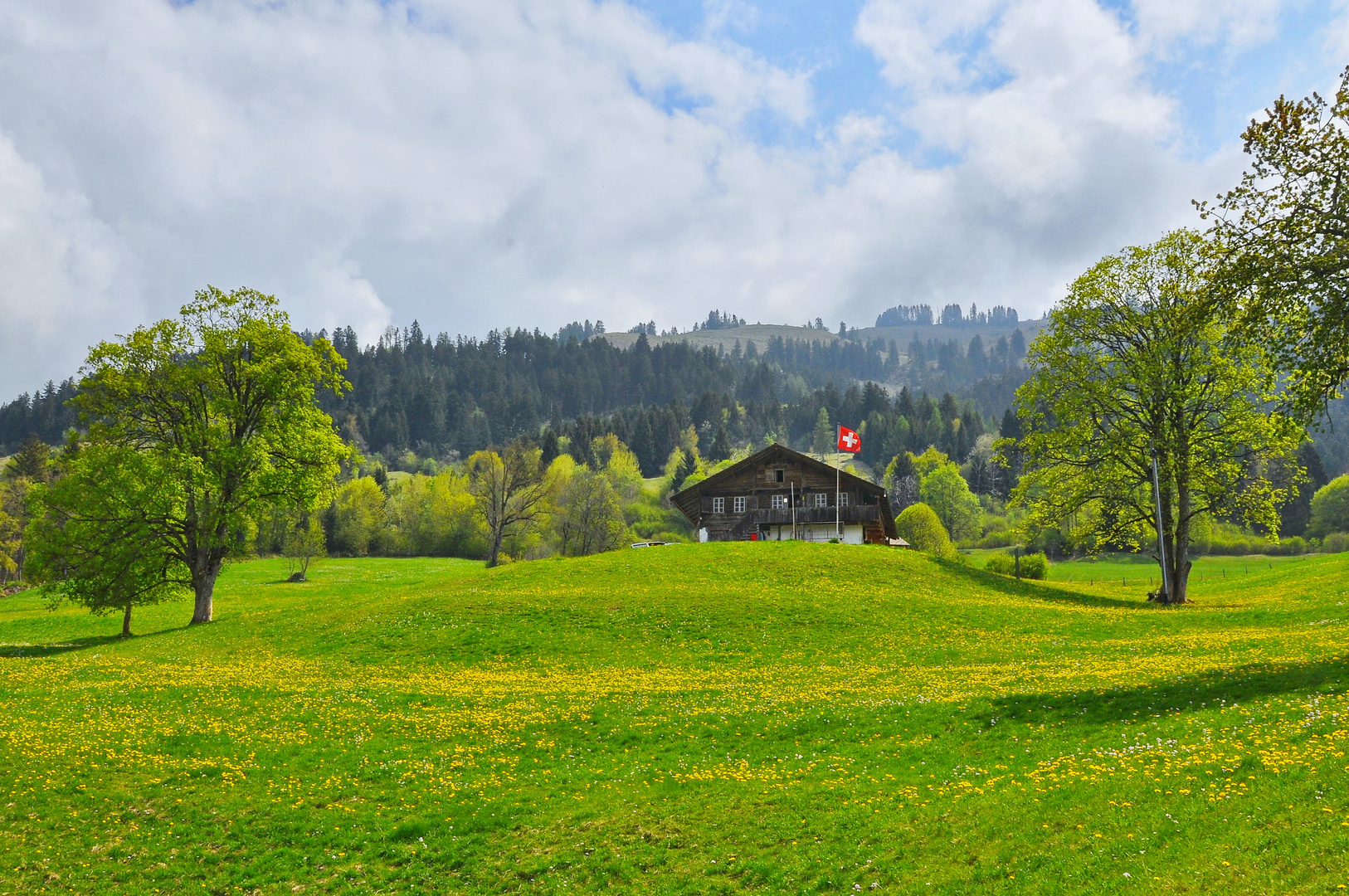 Kandertal, oberhalb Schwandi, Reichenbach