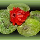 Kandierte Hibiskusblüte mit Kiwi