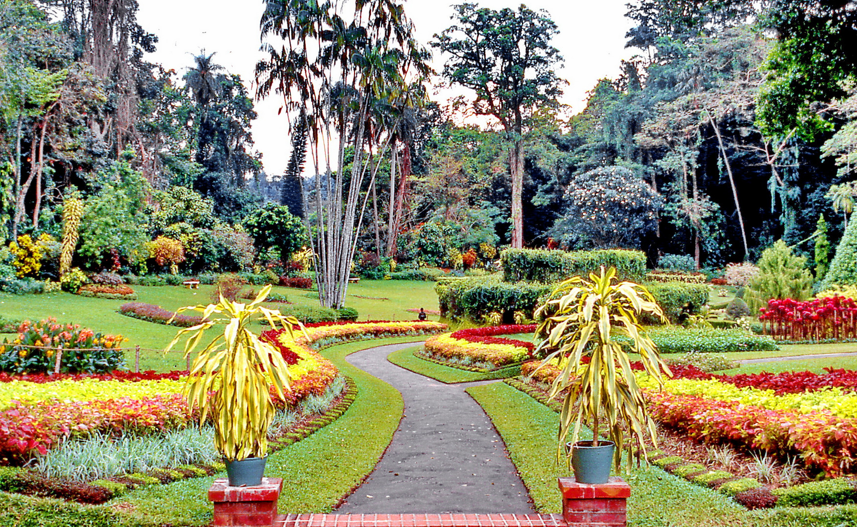 Kandy Botanical Garden