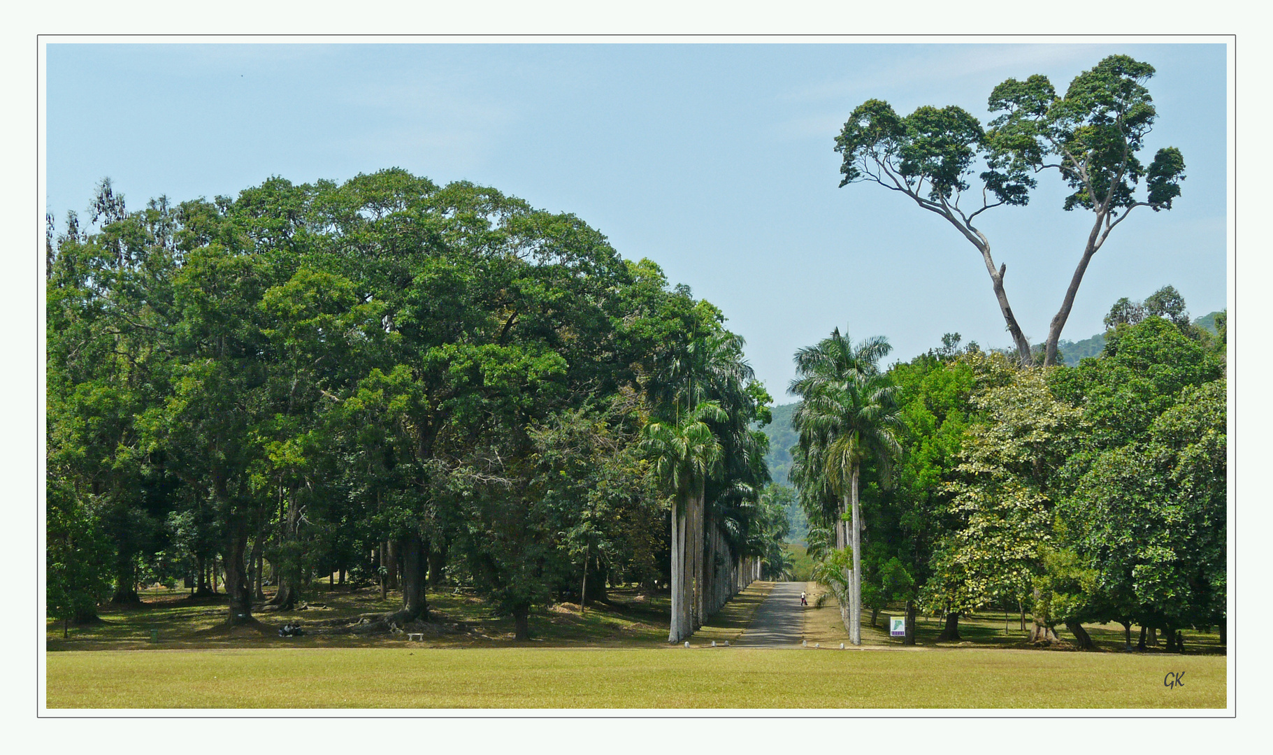 Kandy Botanischer Garten