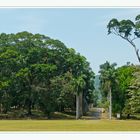 Kandy Botanischer Garten