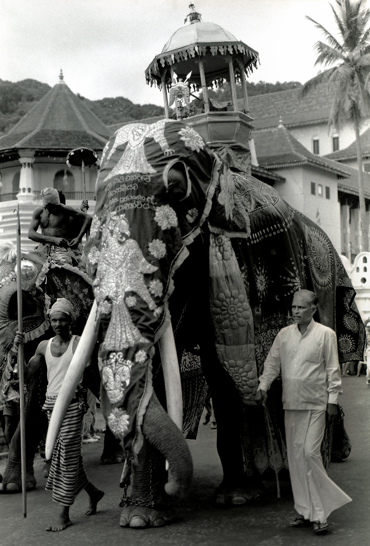 Kandy Perahera