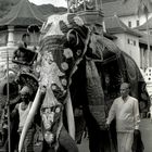 Kandy Perahera