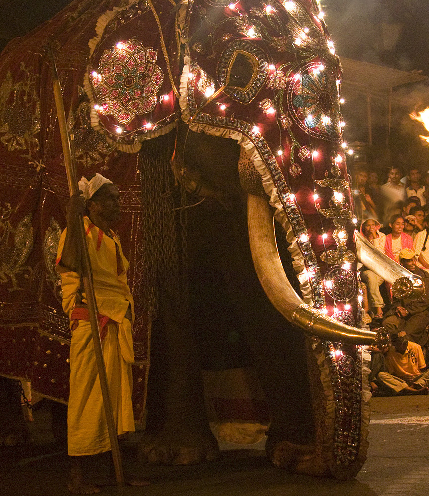 Kandy Perahera