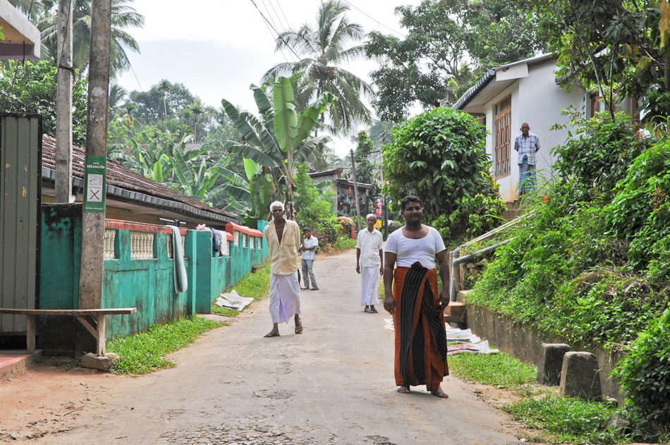 Kandy Umgebung 4