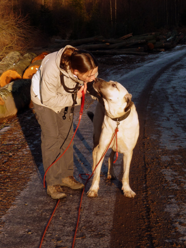 Kangal Kuss