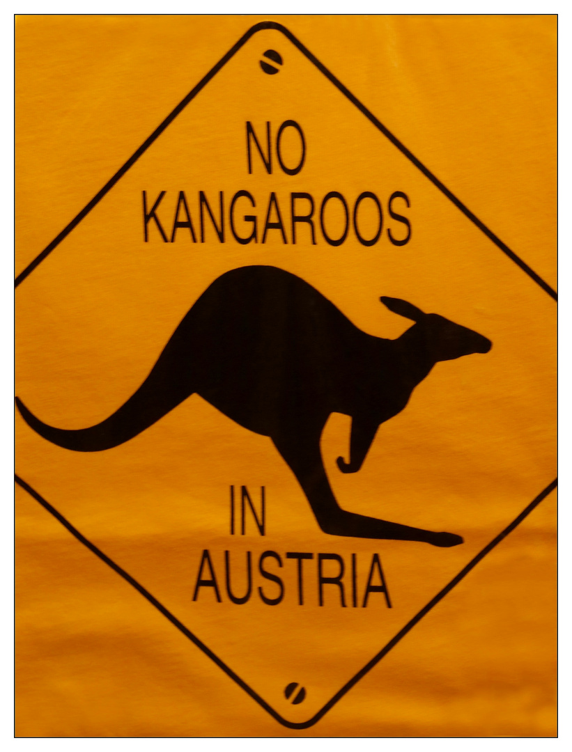 Kangaroo