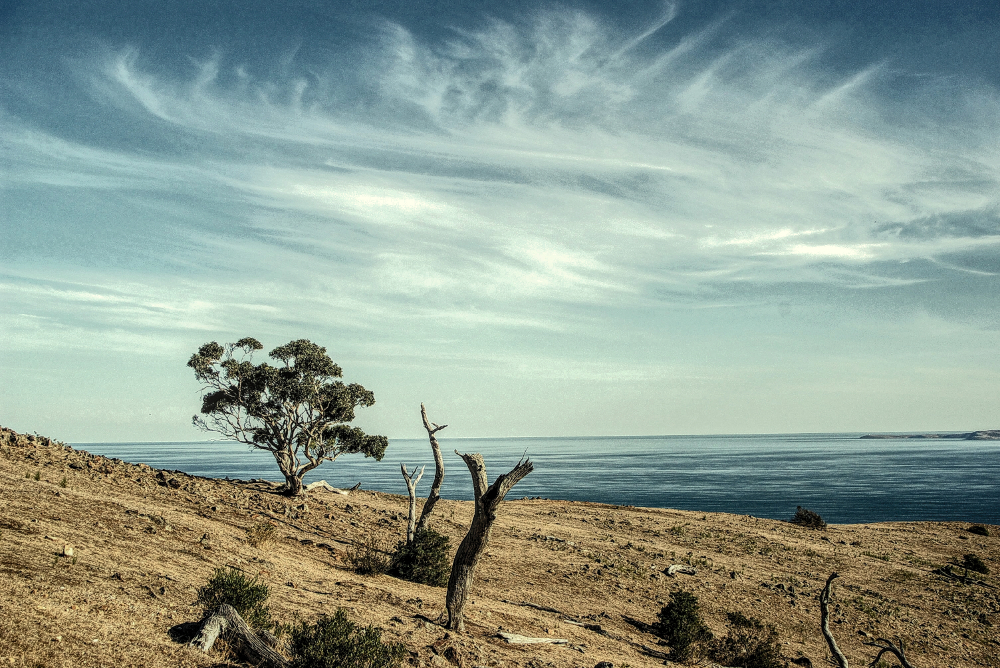 Kangaroo Island