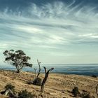 Kangaroo Island