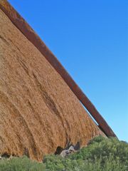 Kangaroo Tail, Uluru, Central Australia