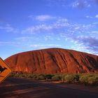 Kangaroos Crossing 2