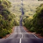 Kangoroo Island