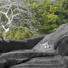 Kanheri Caves 5