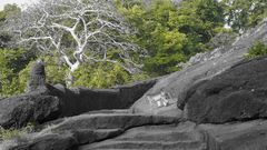 Kanheri Caves 5