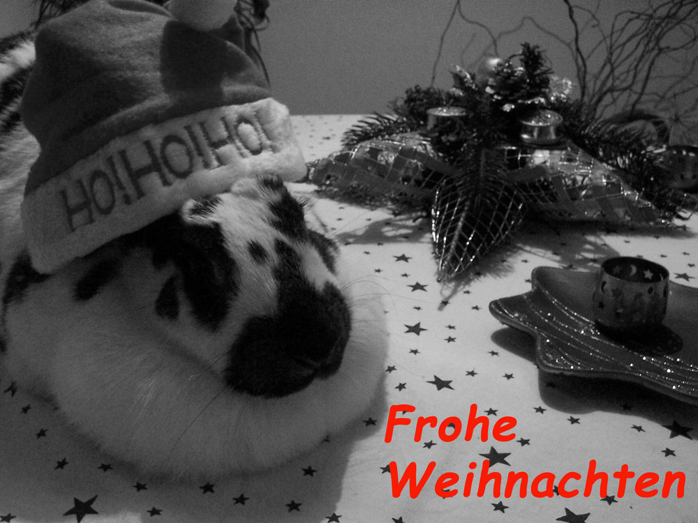 Kanickel-Weihnacht