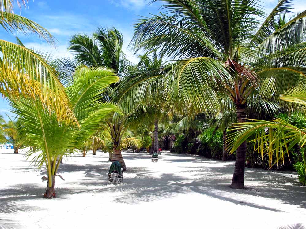 Kanifinolhu, Nordmale Atoll, Malediven