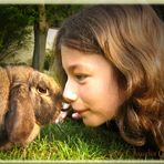 Kaninchen-Freundschaft