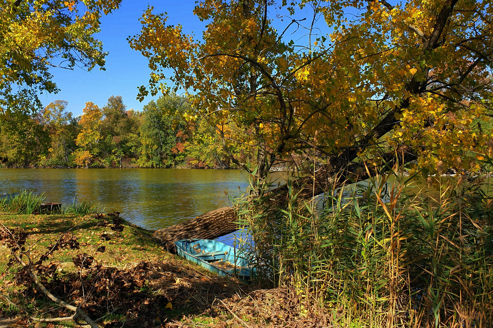 Kann denn Herbst noch schöner sein?