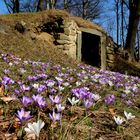 Kann der Frühling schöner sein????