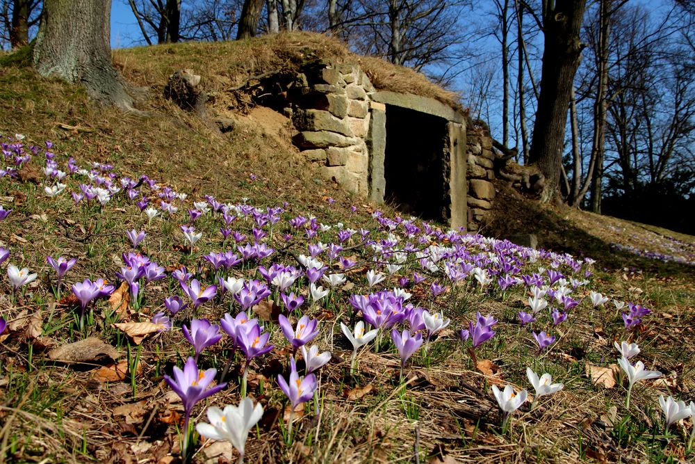 Kann der Frühling schöner sein????