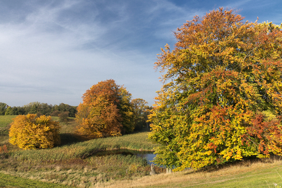 Kann der Herbst schöner sein ?