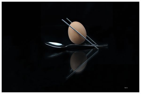 " Kann ein Ei Ski laufen "