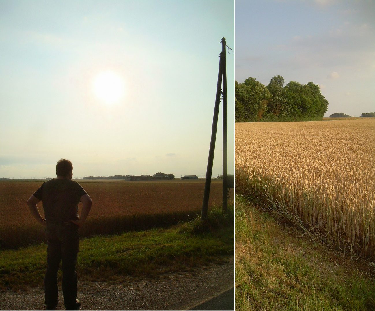 kann es nicht wieder sommer sein ?