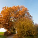 Kann Herbst schöner sein?