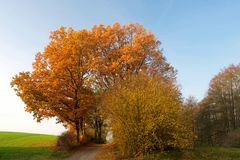 Kann Herbst schöner sein?