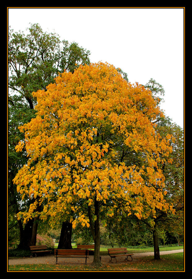 Kann man auch im Herbst